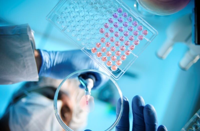 800 Healthcare top page セクター Vault Getty Images 158649166 Healthcare Genetics Biology